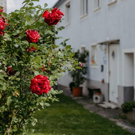 Ferienwohnung Morgensonne Schützen am Gebirge Екстериор снимка
